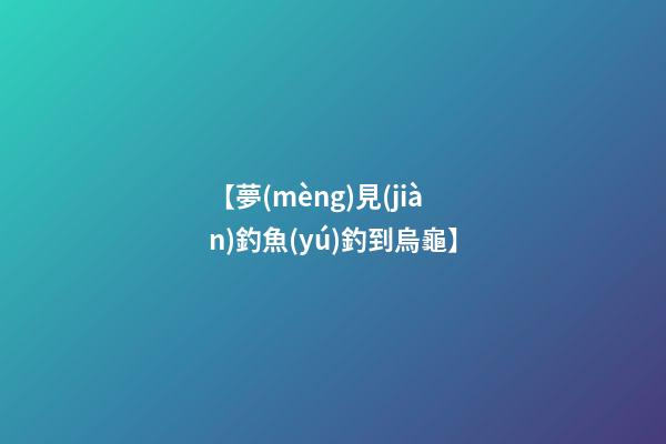 【夢(mèng)見(jiàn)釣魚(yú)釣到烏龜】