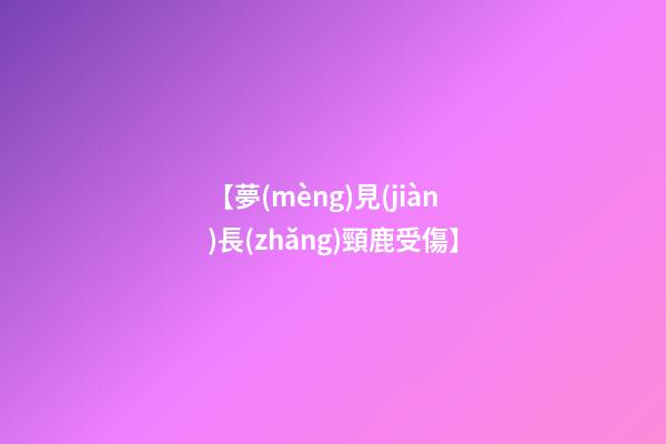 【夢(mèng)見(jiàn)長(zhǎng)頸鹿受傷】