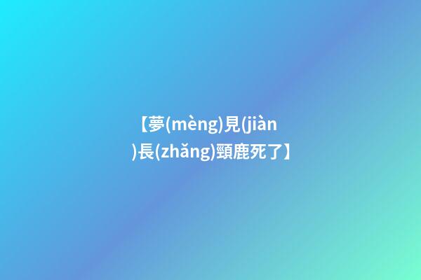 【夢(mèng)見(jiàn)長(zhǎng)頸鹿死了】
