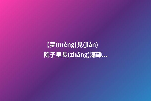 【夢(mèng)見(jiàn)院子里長(zhǎng)滿雜草】