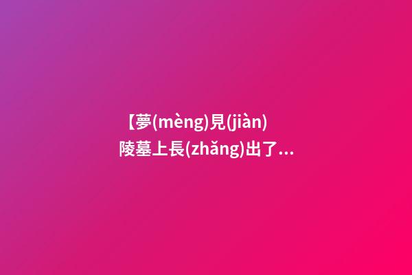 【夢(mèng)見(jiàn)陵墓上長(zhǎng)出了樹(shù)】