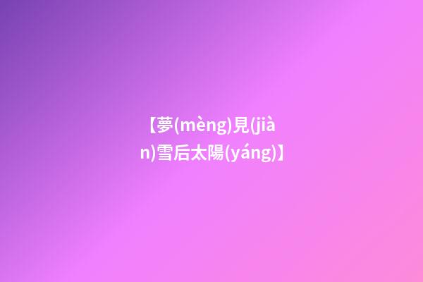 【夢(mèng)見(jiàn)雪后太陽(yáng)】