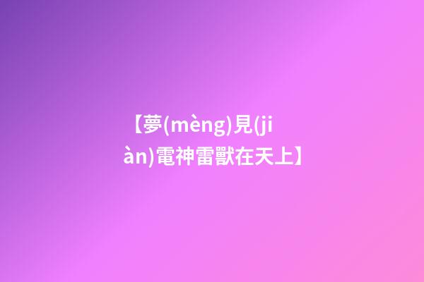 【夢(mèng)見(jiàn)電神雷獸在天上】