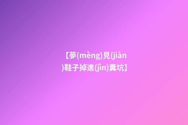 【夢(mèng)見(jiàn)鞋子掉進(jìn)糞坑】