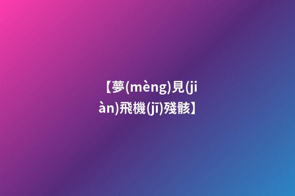 【夢(mèng)見(jiàn)飛機(jī)殘骸】