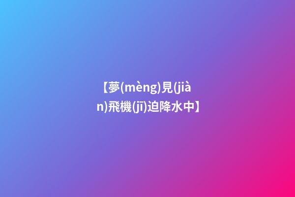 【夢(mèng)見(jiàn)飛機(jī)迫降水中】