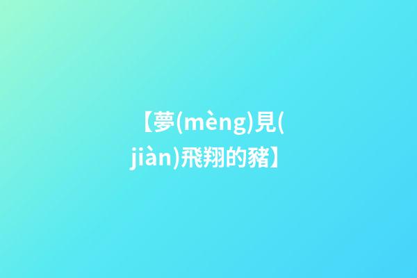 【夢(mèng)見(jiàn)飛翔的豬】