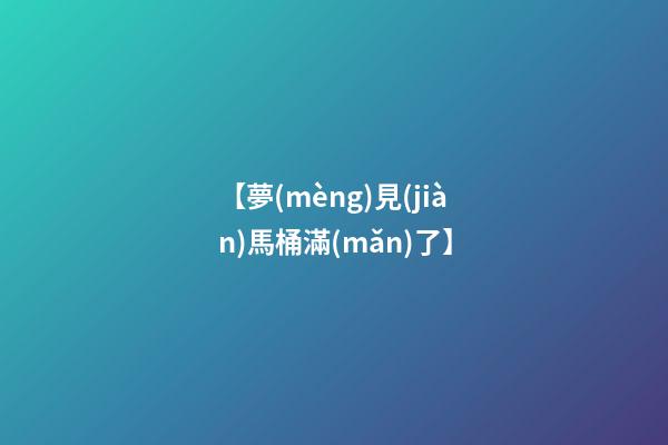 【夢(mèng)見(jiàn)馬桶滿(mǎn)了】