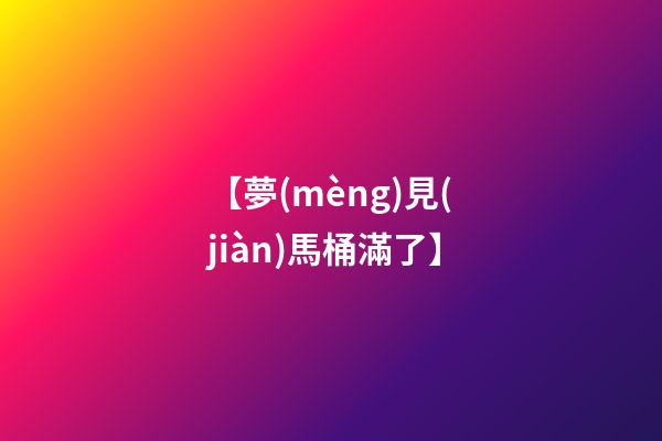 【夢(mèng)見(jiàn)馬桶滿了】