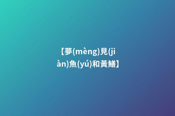 【夢(mèng)見(jiàn)魚(yú)和黃鱔】