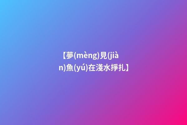 【夢(mèng)見(jiàn)魚(yú)在淺水掙扎】