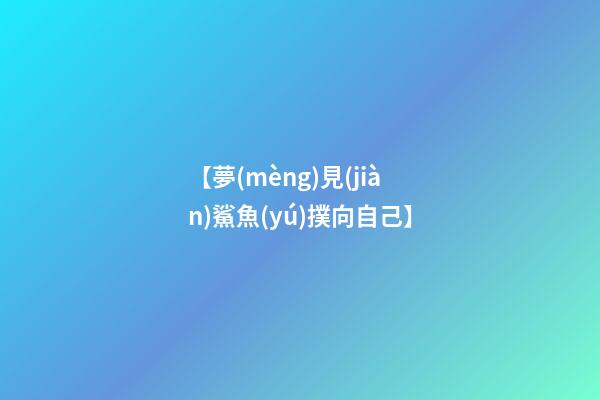 【夢(mèng)見(jiàn)鯊魚(yú)撲向自己】