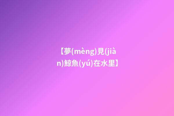 【夢(mèng)見(jiàn)鯨魚(yú)在水里】