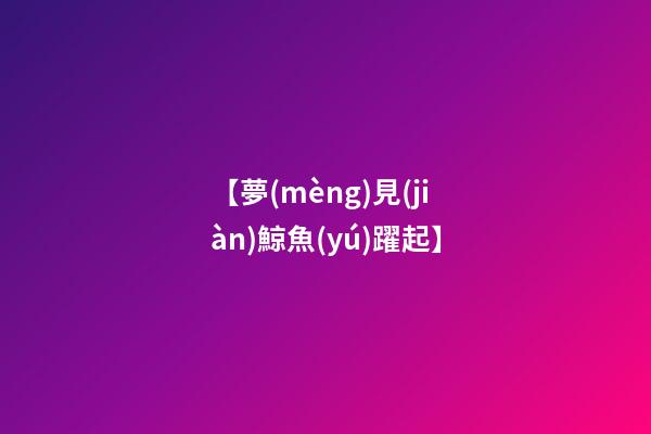 【夢(mèng)見(jiàn)鯨魚(yú)躍起】