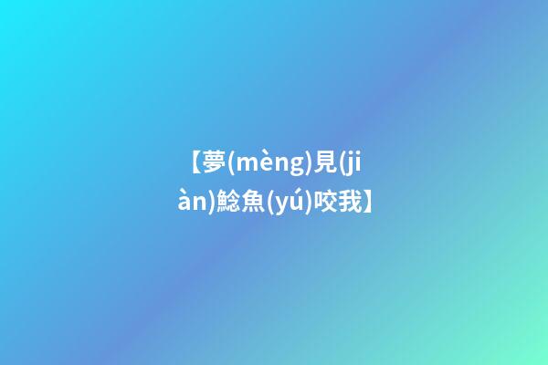 【夢(mèng)見(jiàn)鯰魚(yú)咬我】