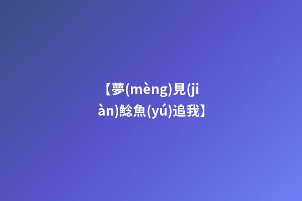 【夢(mèng)見(jiàn)鯰魚(yú)追我】