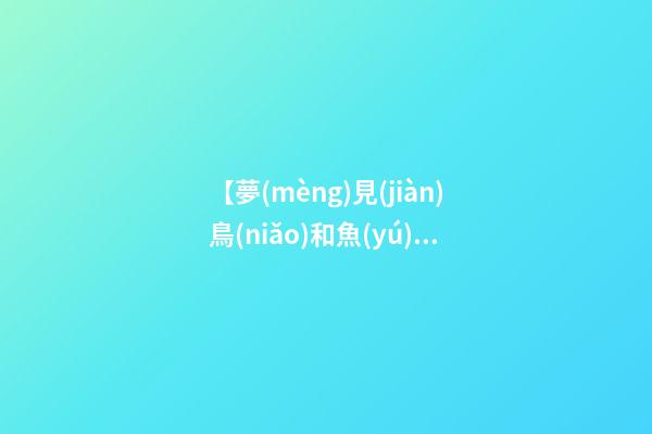 【夢(mèng)見(jiàn)鳥(niǎo)和魚(yú)】