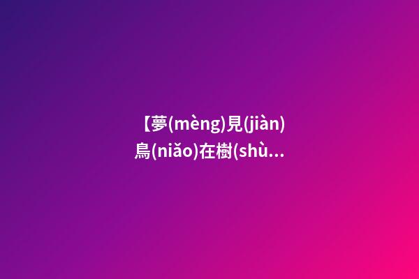 【夢(mèng)見(jiàn)鳥(niǎo)在樹(shù)上】