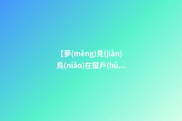 【夢(mèng)見(jiàn)鳥(niǎo)在窗戶(hù)上】