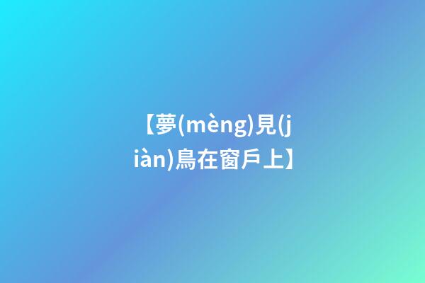 【夢(mèng)見(jiàn)鳥在窗戶上】