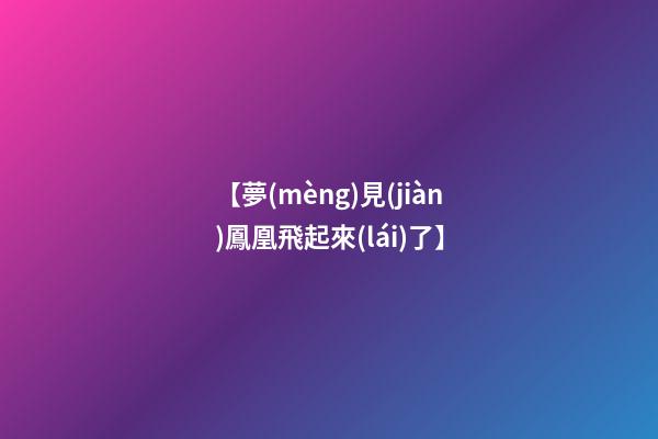 【夢(mèng)見(jiàn)鳳凰飛起來(lái)了】