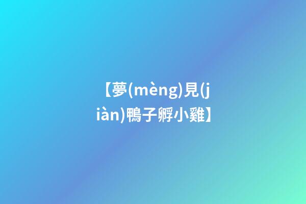 【夢(mèng)見(jiàn)鴨子孵小雞】