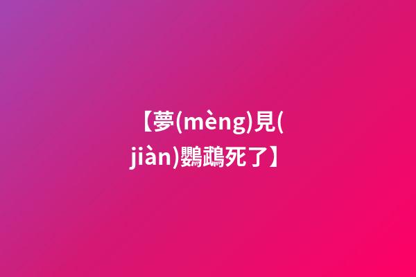 【夢(mèng)見(jiàn)鸚鵡死了】
