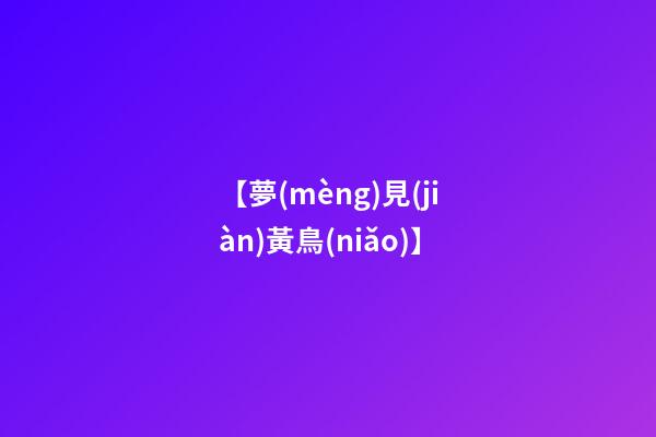 【夢(mèng)見(jiàn)黃鳥(niǎo)】
