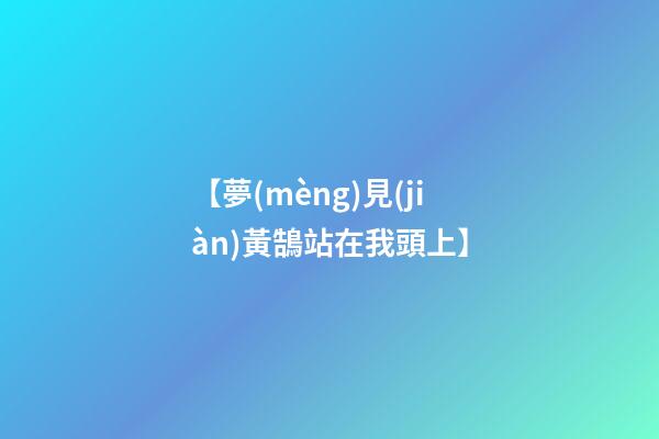 【夢(mèng)見(jiàn)黃鵠站在我頭上】