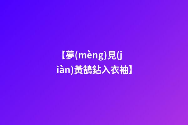 【夢(mèng)見(jiàn)黃鵠鉆入衣袖】