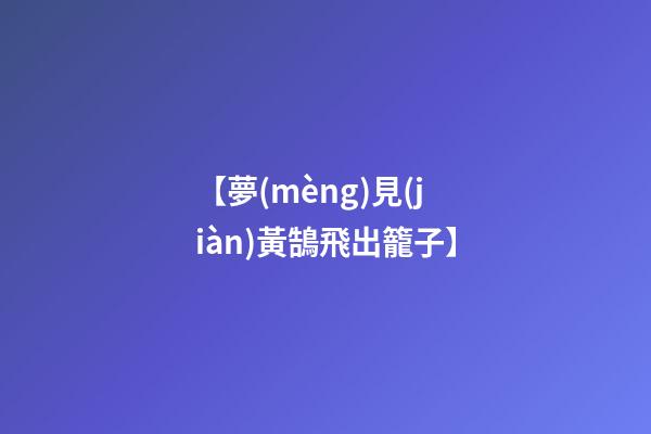 【夢(mèng)見(jiàn)黃鵠飛出籠子】
