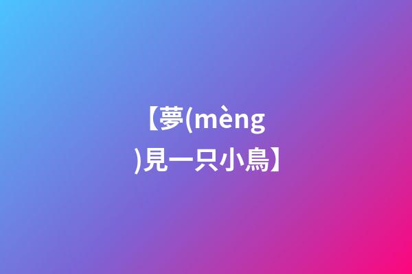 【夢(mèng)見一只小鳥】