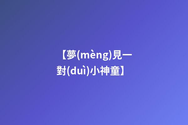 【夢(mèng)見一對(duì)小神童】