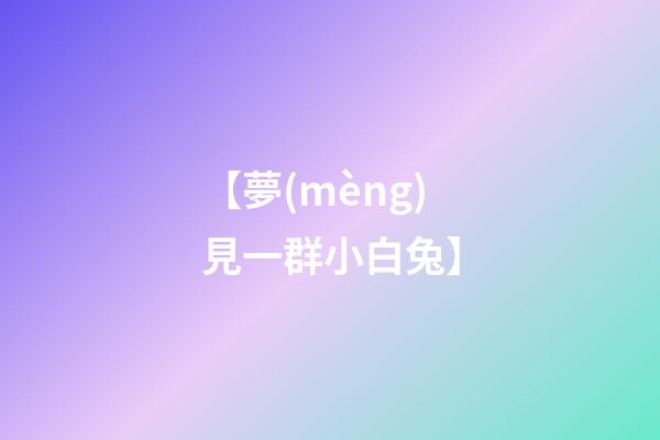 【夢(mèng)見一群小白兔】