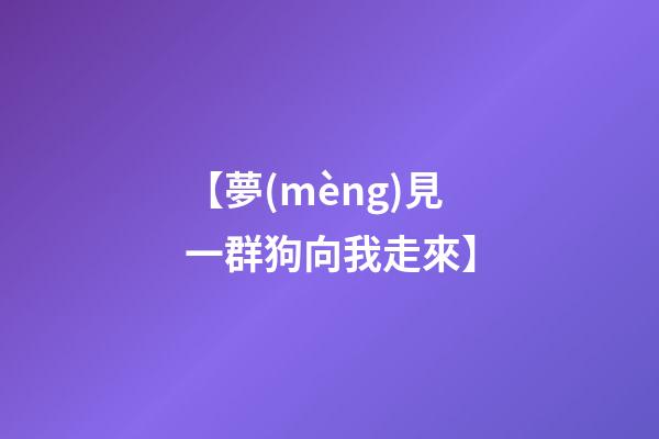 【夢(mèng)見一群狗向我走來】