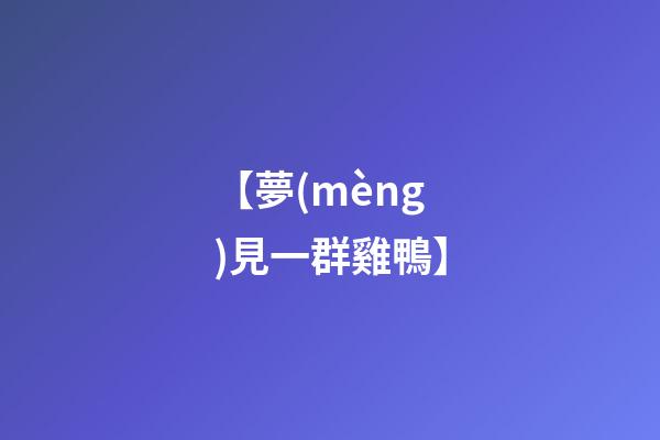 【夢(mèng)見一群雞鴨】