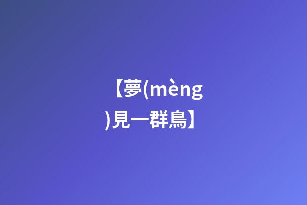 【夢(mèng)見一群鳥】