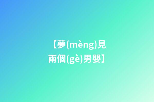 【夢(mèng)見兩個(gè)男嬰】
