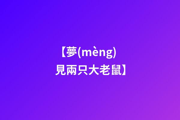 【夢(mèng)見兩只大老鼠】