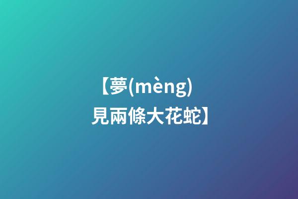 【夢(mèng)見兩條大花蛇】