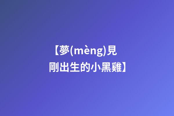 【夢(mèng)見剛出生的小黑雞】