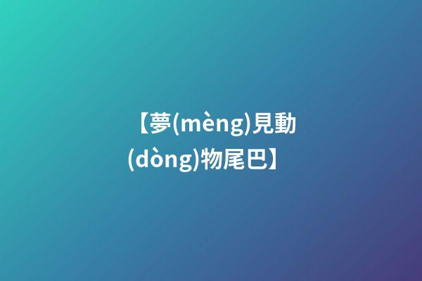 【夢(mèng)見動(dòng)物尾巴】