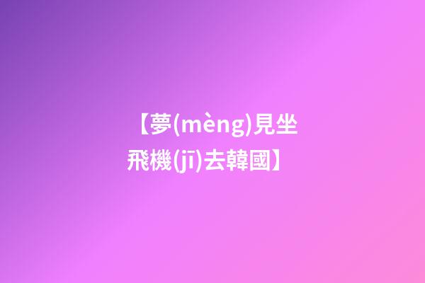 【夢(mèng)見坐飛機(jī)去韓國】