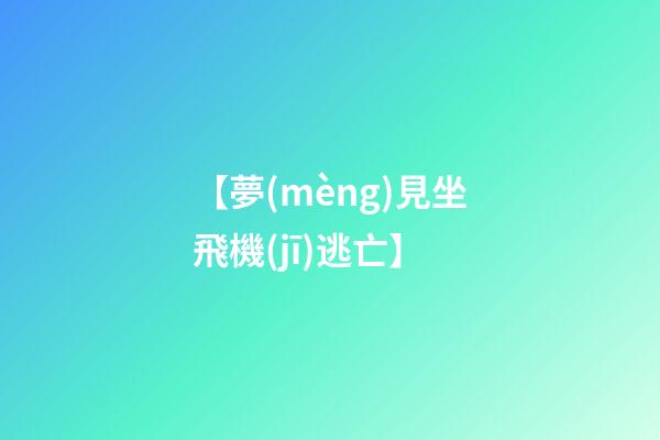 【夢(mèng)見坐飛機(jī)逃亡】