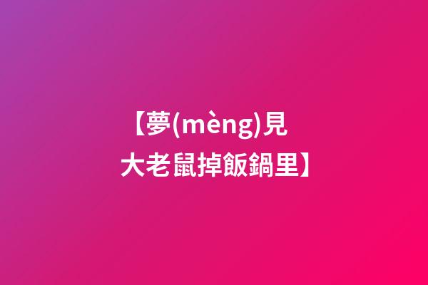 【夢(mèng)見大老鼠掉飯鍋里】