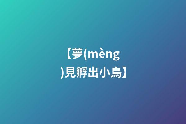 【夢(mèng)見孵出小鳥】