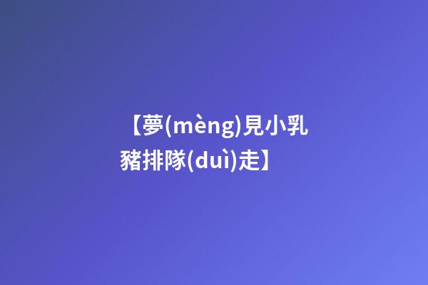 【夢(mèng)見小乳豬排隊(duì)走】