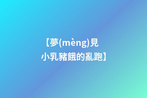 【夢(mèng)見小乳豬餓的亂跑】