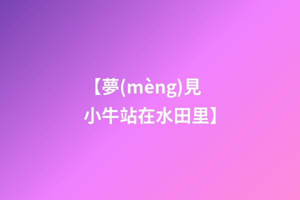 【夢(mèng)見小牛站在水田里】