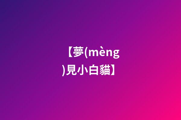 【夢(mèng)見小白貓】